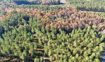 TBD Binnicker Bridge Road, Bamberg, SC 29003