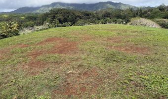 6630 KIPAPA Rd, Kapaa, HI 96746