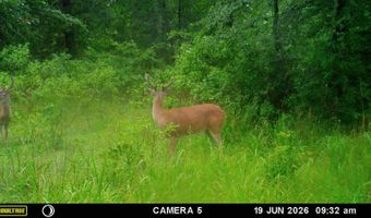 East Highway 3, Atoka, OK 74525