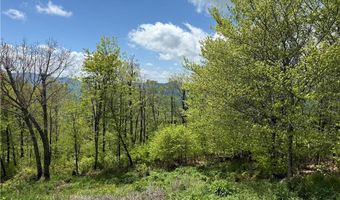 70 Sunset Strip, Beech Mountain, NC 28604