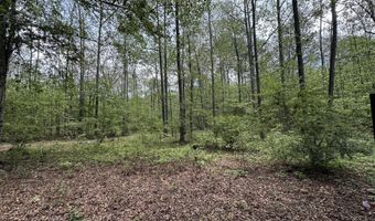 101 Peregrine Rise Dr, Big Sandy, TN 38221