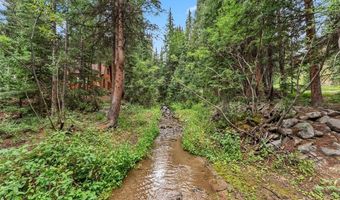 507 County Road 674, Blue River, CO 80424