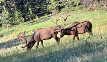 County Road 59, Allenspark, CO 80510
