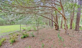 19922 NW 131ST Pl, Alachua, FL 32615