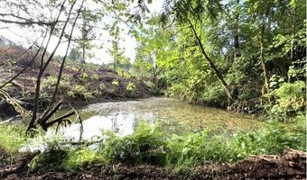 NW LODGE Rd, Banks, OR 97106