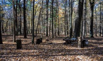 Lot 33 S Badger Lane, Arkdale, WI 54613