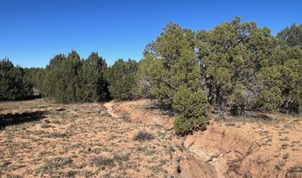96 CR3041, Concho, AZ 85924
