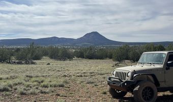 51 W Boiling Pot Rd, Ash Fork, AZ 86320