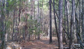0000 Cr-3401, De Kalb, TX 75559
