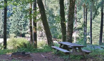 9965 BEACH Dr, Birkenfeld, OR 97016