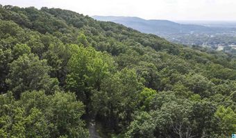 0 LANIER Pl 26.25 ac, Anniston, AL 36207