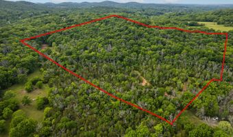 10515 Paw Paw Springs Rd, Arrington, TN 37014