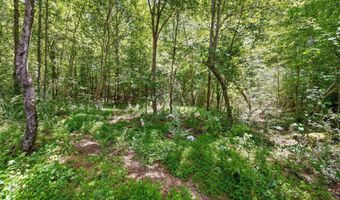 500 Riley Ln, Birchwood, TN 37308