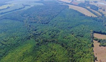 0 CR 320, Big Creek, MS 38914