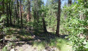 9 County Road 2073, Alpine, AZ 85920