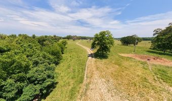 County Road 113, Alton, MO 65606