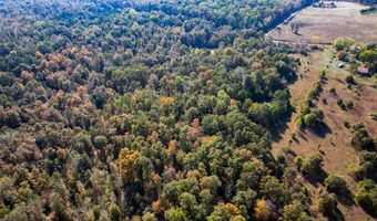 2300 CR 149, Alton, MO 65606