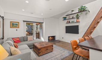 910 W Hallam St 11, Aspen, CO 81611