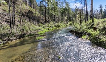 91403 Marbrook Ln, Blue River, OR 97413