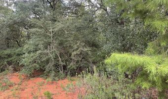 Girard Court lot 37, Alford, FL 32420