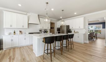 3387 Grassy Fields Ln, Apison, TN 37302