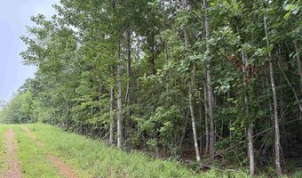 745 FOSTER Rd, Adamsville, TN 38310