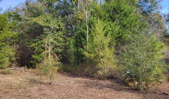 00 NW Tommy Tucker Rd Lot 1, Altha, FL 32421