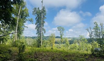 Tract 1 Mill Creek Rd, Andersonville, TN 37705