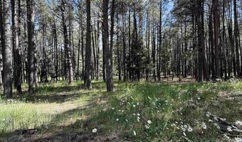 Lot 940 White Sands Circle, Angel Fire, NM 87710