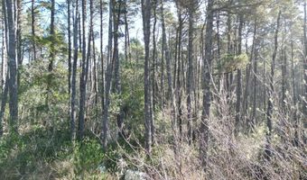 E Jupiter Ln 1202, Bandon, OR 97411