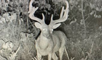 0000 Francis Rd, Francis, OK 74820