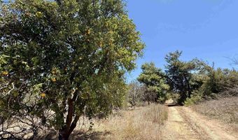 9927 Modrigan Ln, Fallbrook, CA 92028