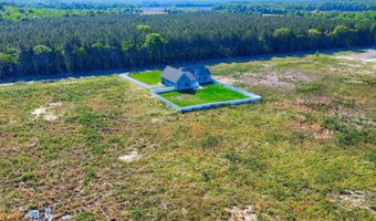 36800 PEANUT TINGLE Rd, Frankford, DE 19945