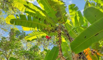 4685 Uakea Rd, Hana, HI 96713