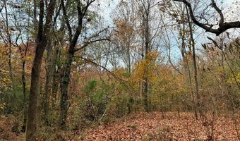 HWY 9, Bruce, MS 38915