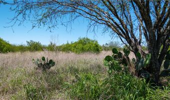 Fm-735, Alice, TX 78332