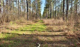 Highway 28, Abbeville, SC 29620