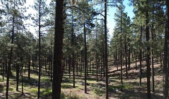 782 Hawks Meadow Dr, Bayfield, CO 81122