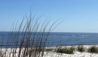 641 Bald Point Rd, Alligator Point, FL 32346