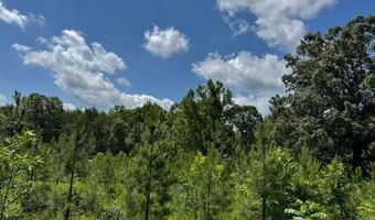 Mini Ball Lane, Appomattox, VA 24522