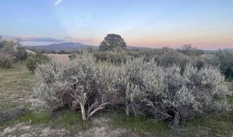 56795 Cain Rd, Anza, CA 92539