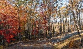 Lot 93 Peregrine Trail, Banner Elk, NC 28604