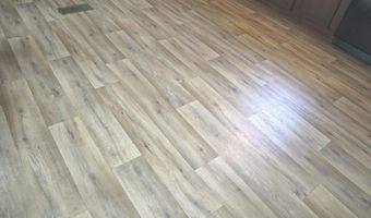 37007 PEANUT TINGLE Rd, Frankford, DE 19945