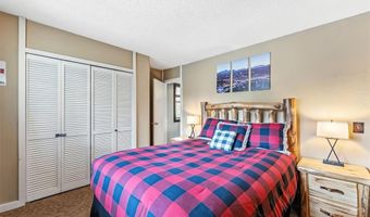 550 S FRENCH St 205, Breckenridge, CO 80424