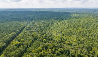 Burks Mountain Road, Appling, GA 30802
