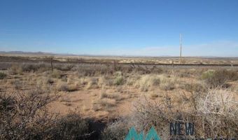 40 Acres In PA Grant #33, Truth Or Consequences, NM 87935