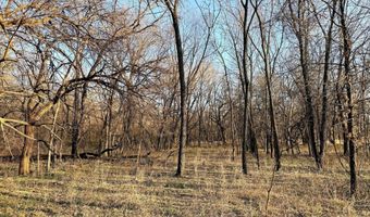 0002 CR-290, Asbury, MO 64832
