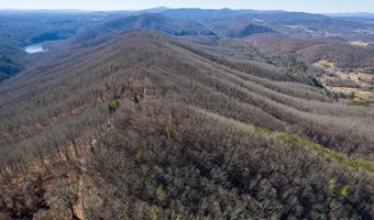 Stoots Mountain Rd. lot 31-A-109, Austinville, VA 24312