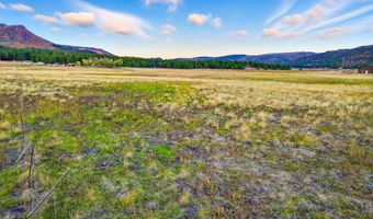 ALPINE UNSUBDIVIDE, Alpine, AZ 85920