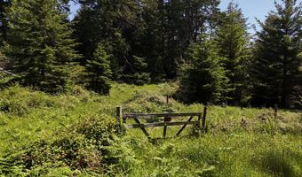 20452 Whaleshead Rd, Brookings, OR 97415
